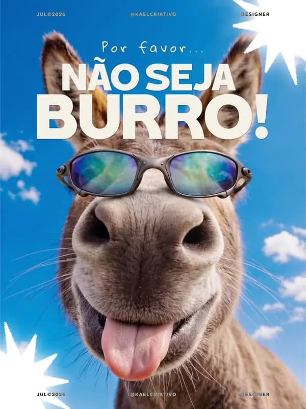 Criativo de anúncio: burro de óculos espelhados contra o céu azul, com o título “Por favor... não seja burro!”